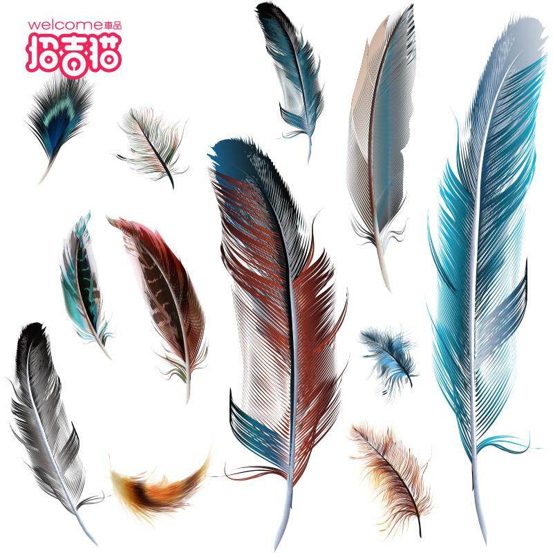 汽车个性可爱3D立体羽毛车贴蝴蝶装饰贴遮挡划痕保险杠电动车贴纸,3C数码配件,USB多功能数码宝,淘宝优惠券,粉丝福利购,淘宝优惠卷