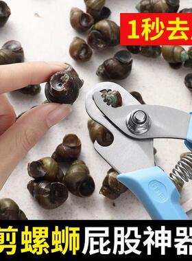 剪螺蛳屁股神器不打滑田螺螺丝省力钳专用剪刀石螺翦田螺去尾神器