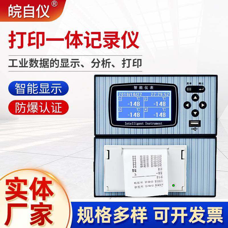 打印一体有纸记录仪现场打印温度压力曲线数据记录流量打印仪器