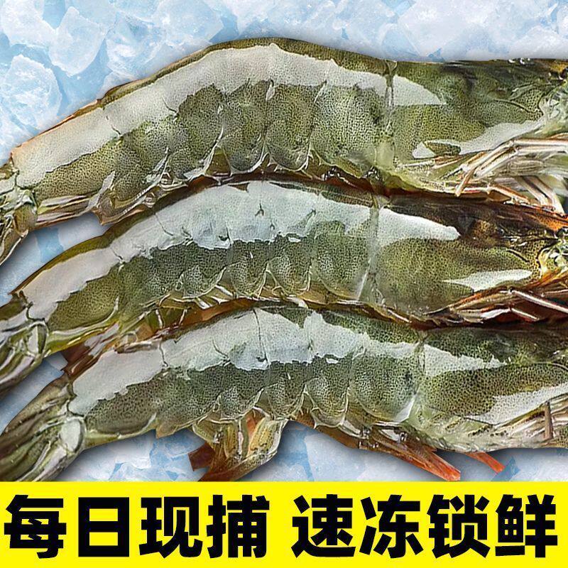 厄瓜多尔大虾冷冻青虾速冻基围虾非青岛虾盐冻虾大海鲜水产包邮