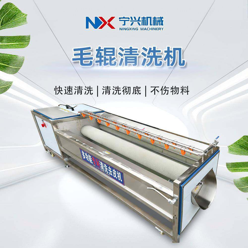 宁兴喷淋式毛辊清洗机贝类毛刷清洗除杂设备小型多功能洗姜机