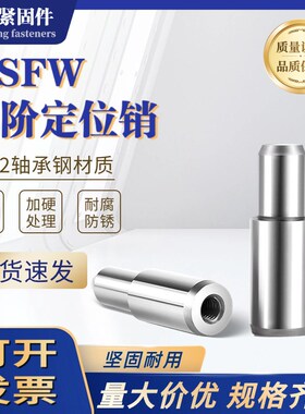 销钉台阶销圆柱定位销阶梯轴内螺纹销子MFSW轴承钢O5/6/8/10/13
