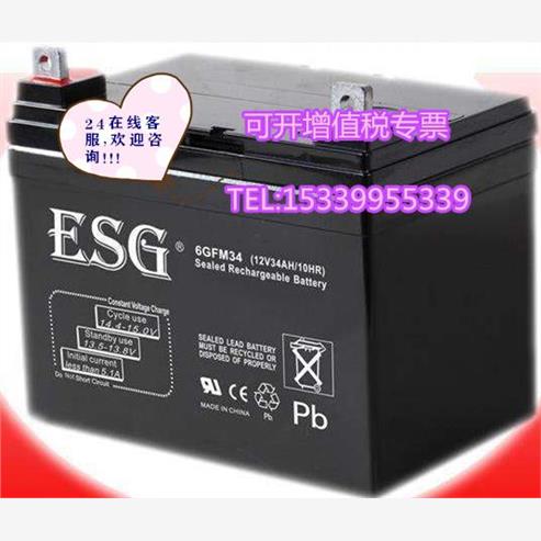 ESG蓄电池6GFM90铅酸免维
