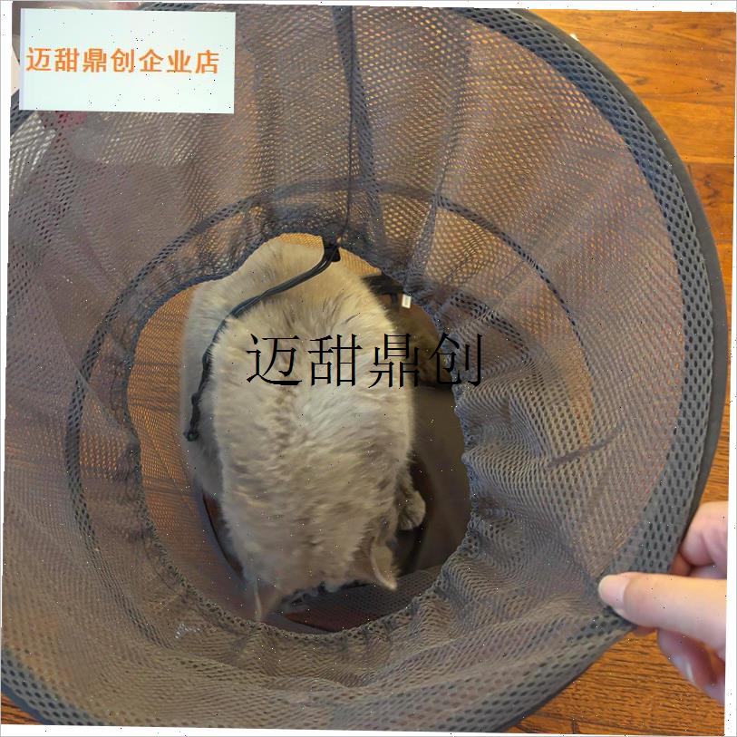 宠物烘干箱家用洗澡吹干神器猫咪小型犬L吹风机吹毛防抓咬专用,
