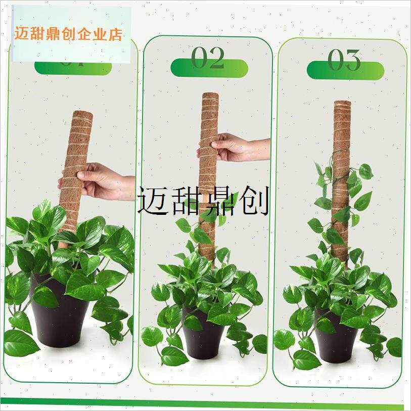 背竹支撑杆绿箩爬藤n支架椰棕棒植物攀爬柱棕榈柱植物造型固定架,
