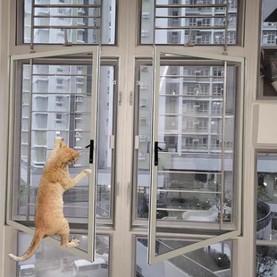 貓網封窗高清蚊網自裝免釘安裝防貓抓鼠咬港式防蚊窗金剛網窗