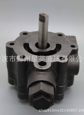 SauerPV22MPT044H1P045Eaton5423LindeHPV55液压泵配件补油泵