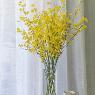 跳舞兰鲜花瓶插花文心兰家庭黄色婚庆水养鲜切花兰花办公桌书房