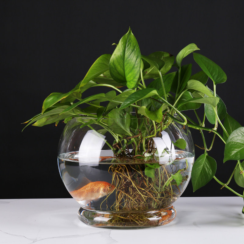 创意带底大号圆形玻璃鱼缸生态金鱼缸家用客厅乌龟缸桌面水培花瓶,宠物/宠物食品及用品,生态瓶/创意缸/微景缸,淘宝优惠券,粉丝福利购,淘宝优惠卷