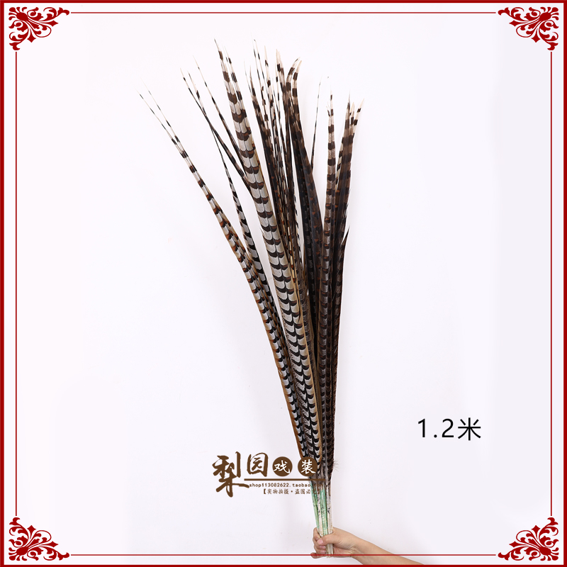 豫剧越剧京剧戏曲翎子武生武旦翎毛花翎古装舞蹈戏剧鸡尾翎毛鸡林