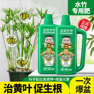 水竹肥料专用肥营养液家用盆栽富贵竹转运竹水培植物治黄叶水溶肥