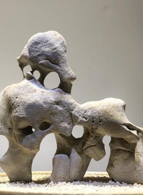 天然原石太湖石奇石观赏石鱼缸摆件假山石头景观石盆景园林灵璧石