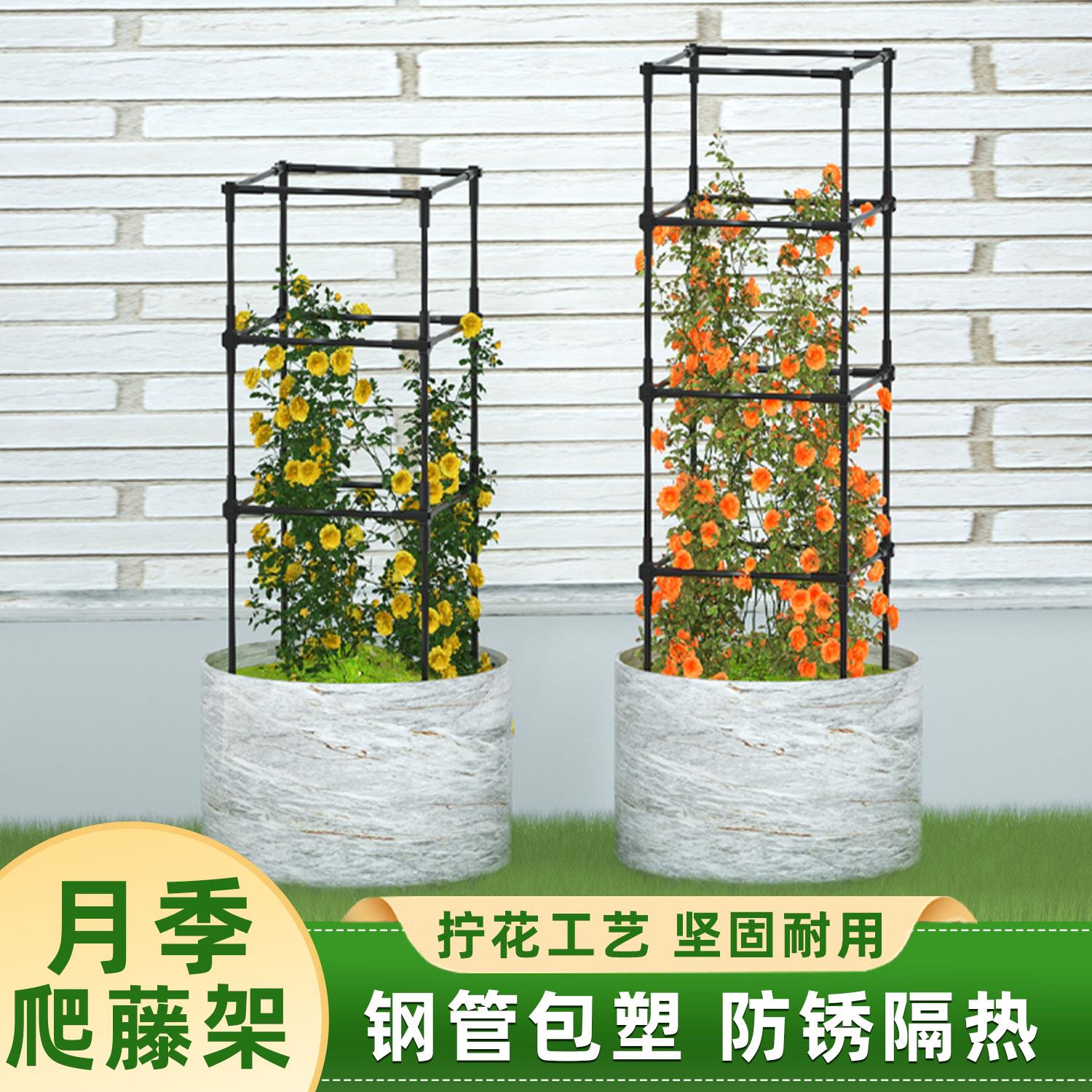 爬藤架花架植物月季铁线莲花支架攀爬方形架子爬架铁线莲盆栽藤架