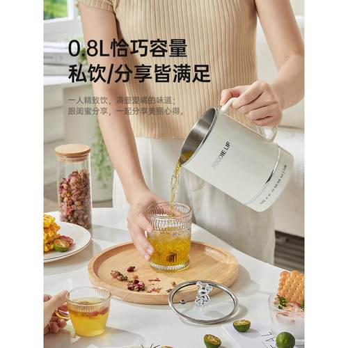 多功能迷你便携式花茶炖煮养生壶杯办公室煮茶烧水壶一人小型mini