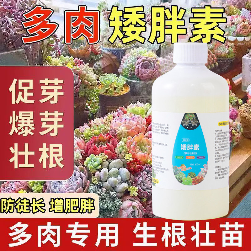 多肉矮胖素促生长增色增肥