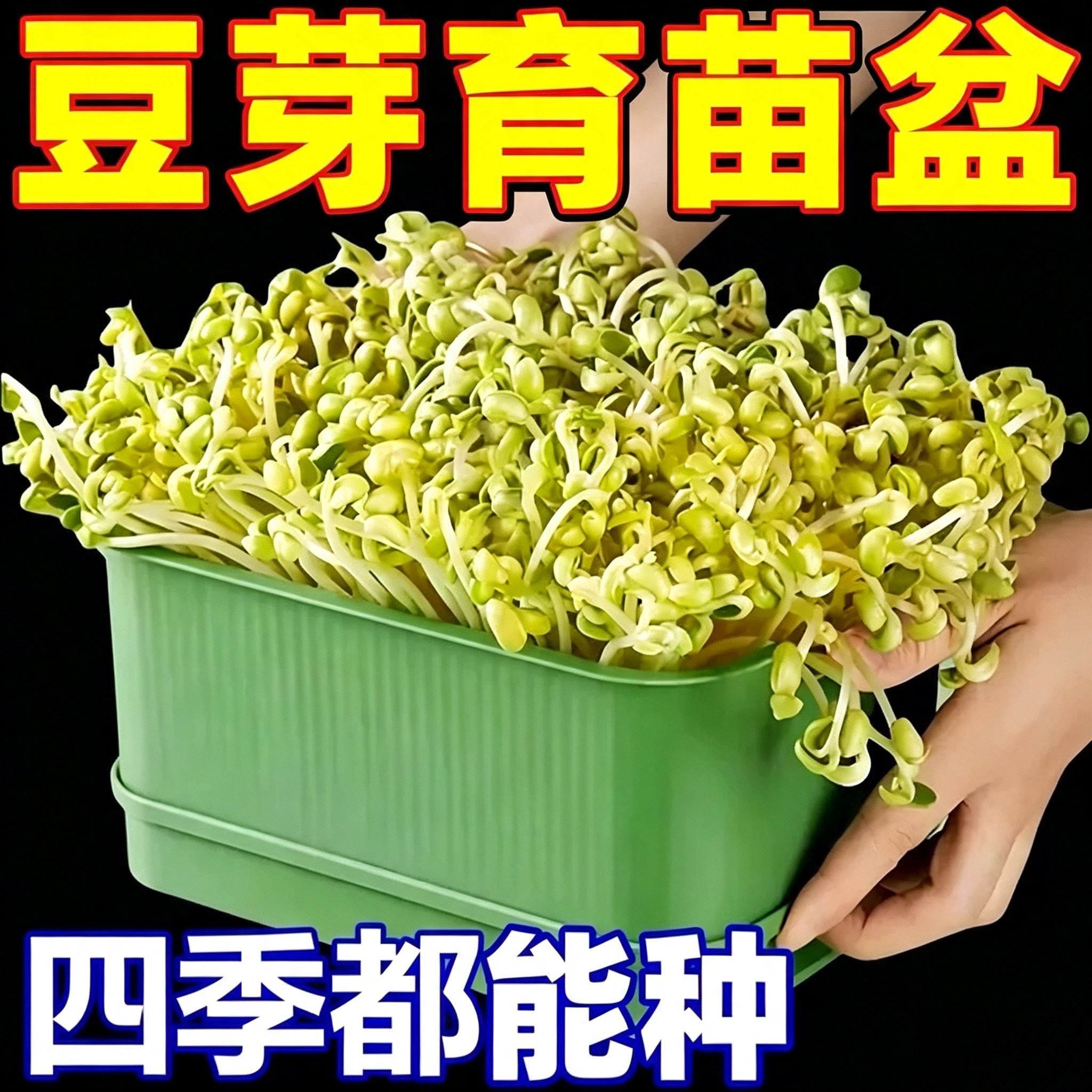 育苗盒家用水培育苗盆发豆芽工具家用种植豆芽盆发豆芽种菜专用盆
