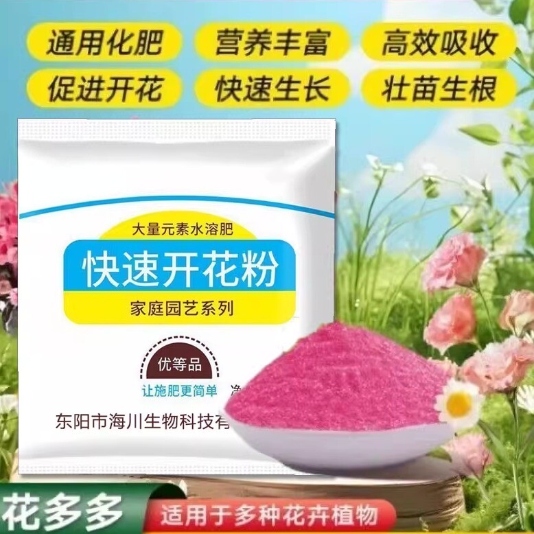正品快速开花粉小包装玫瑰月季花