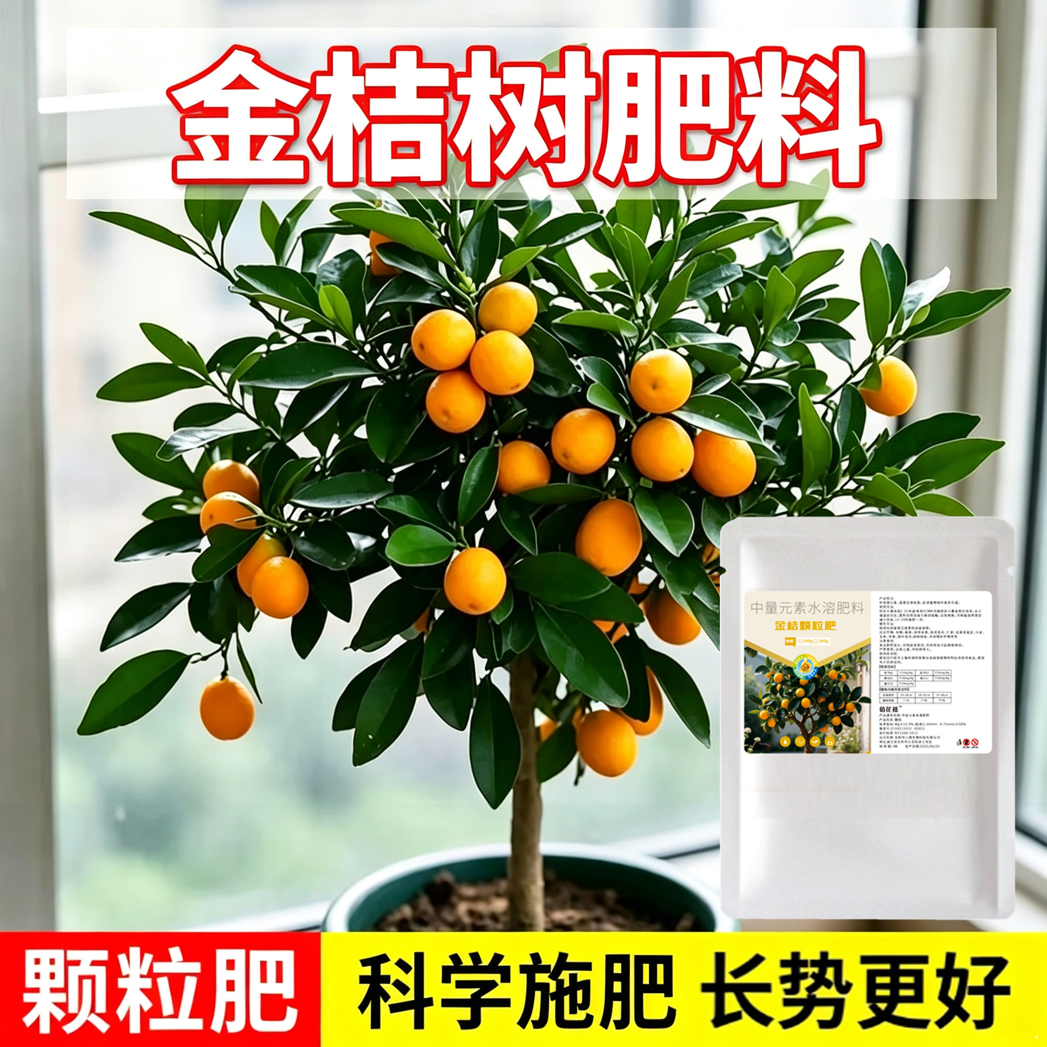 金桔专用肥料金桔树专用营养肥金桔保花保果防落果催芽防叶子发黄