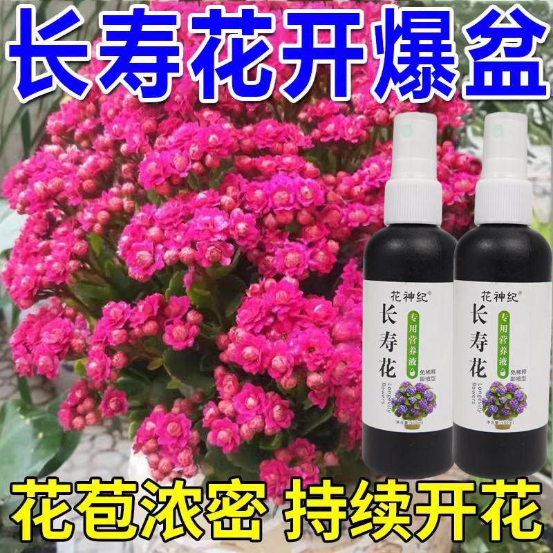 长寿花专用营养液开花养花促花专用肥料喜酸性植物叶面喷施营养液