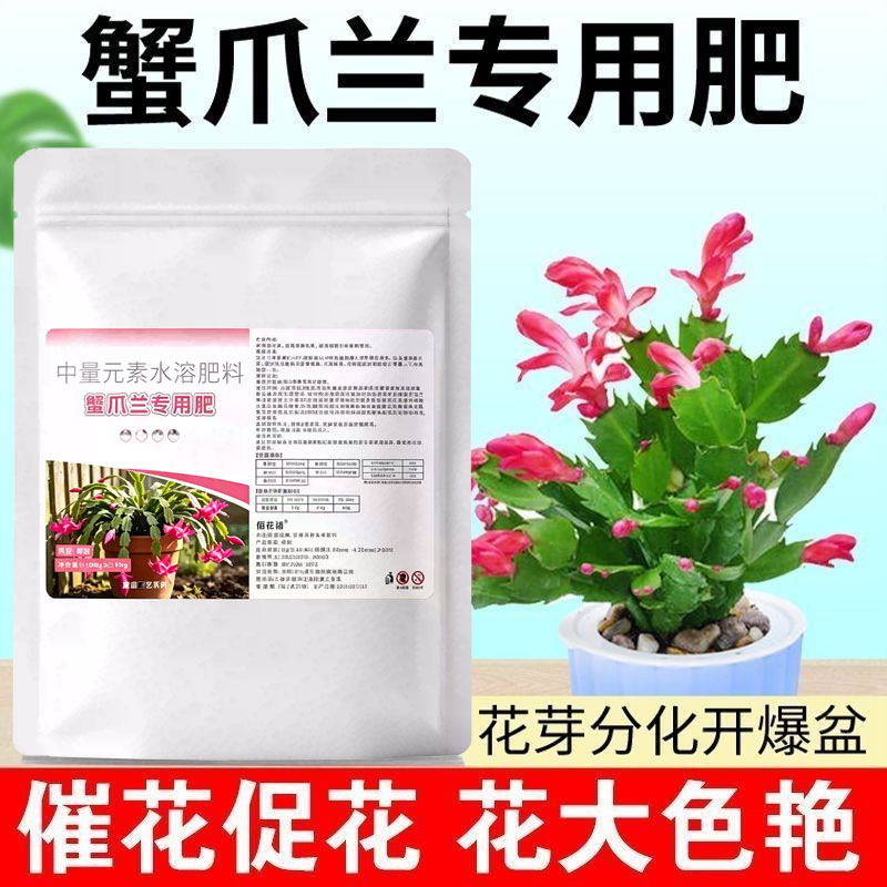 蟹爪兰发蔫软烂干瘪黄叶不开花