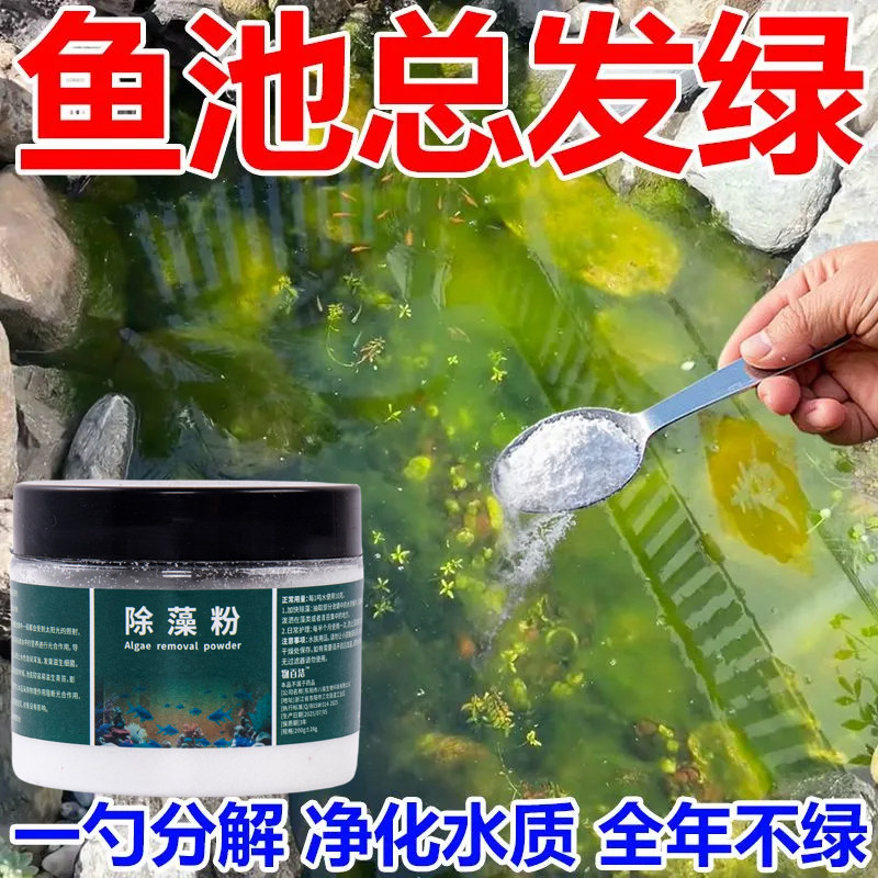 除藻粉鱼缸除藻剂锦鲤鱼池
