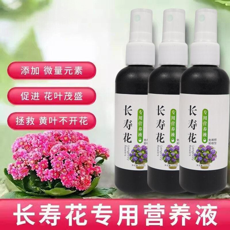 花爆盆长寿花专用营养液