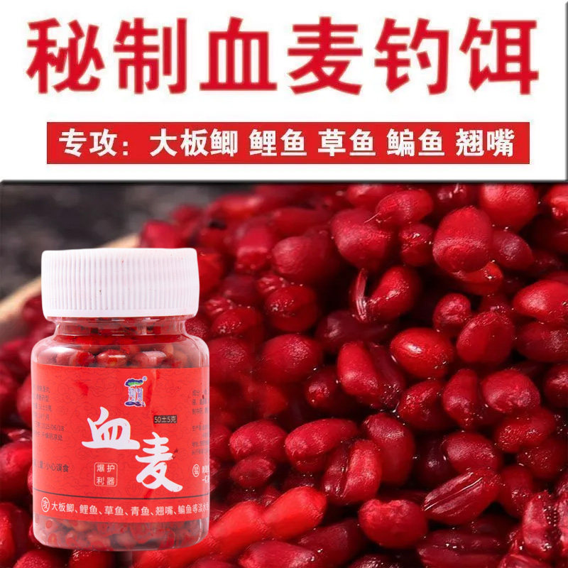 钓鱼小麦粒血麦血玉米饵料