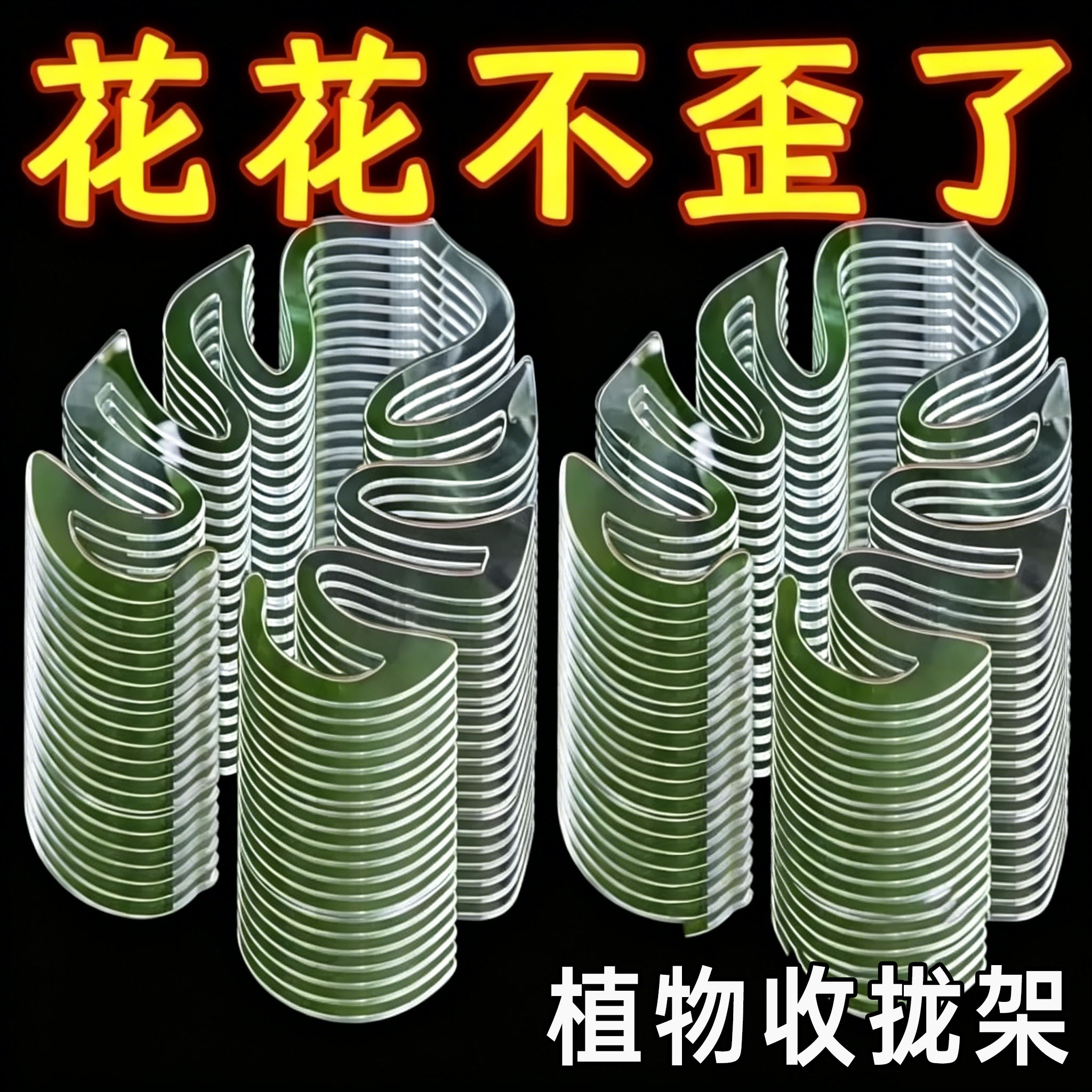 龟背竹固定捆绑支架支撑杆绿萝