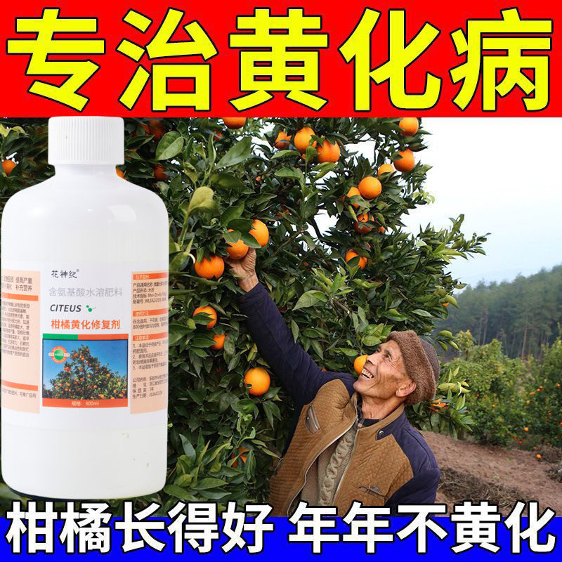 柑橘黄化病专用药严重黄化黄斑黄叶黄龙病柑橘果树黄化专用修复剂