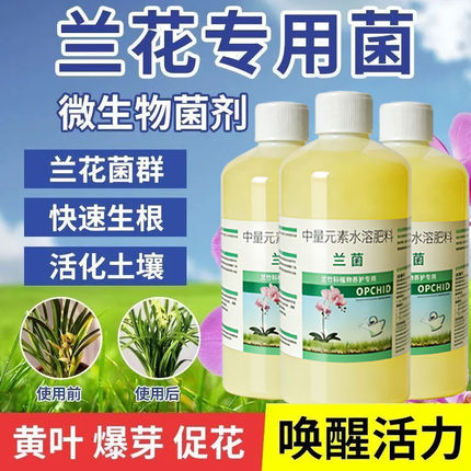兰菌王营养液蝴蝶兰君子兰墨兰养花兰菌王微生物菌剂兰花专用肥
