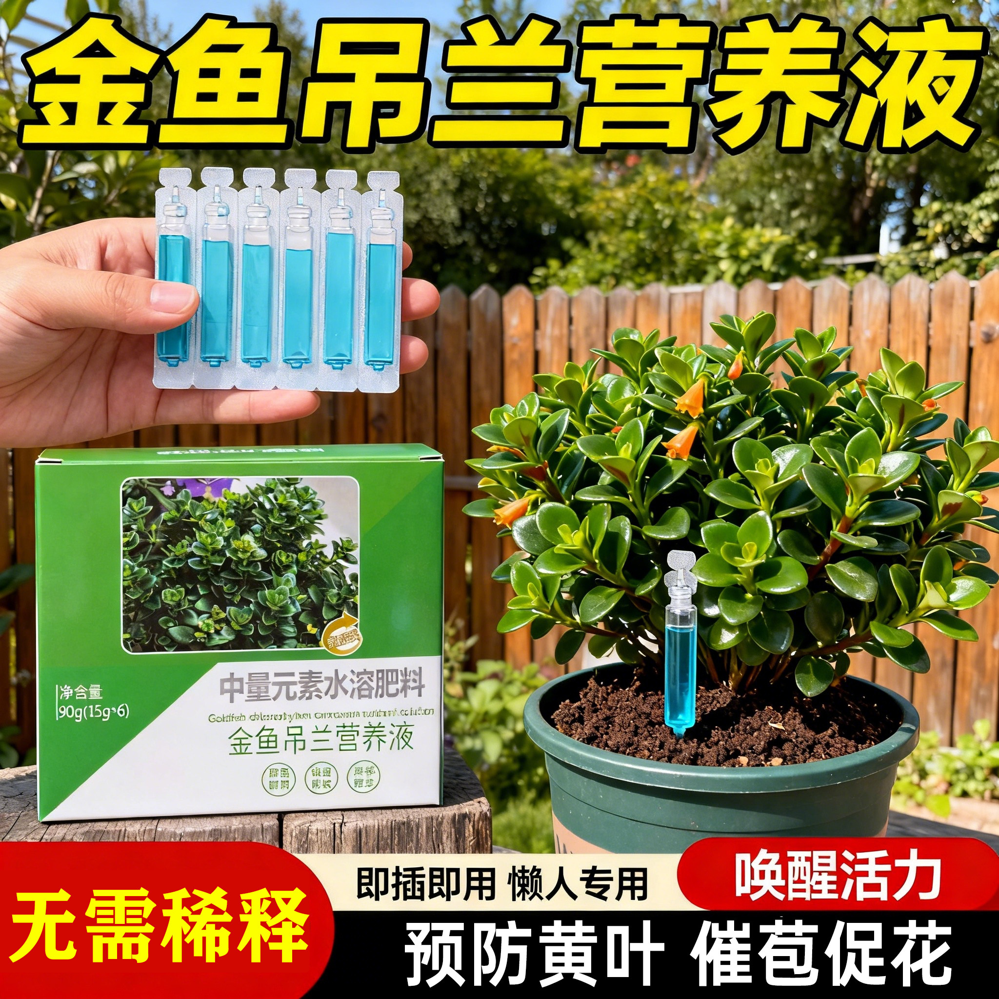 金鱼吊兰专用营养液促开花