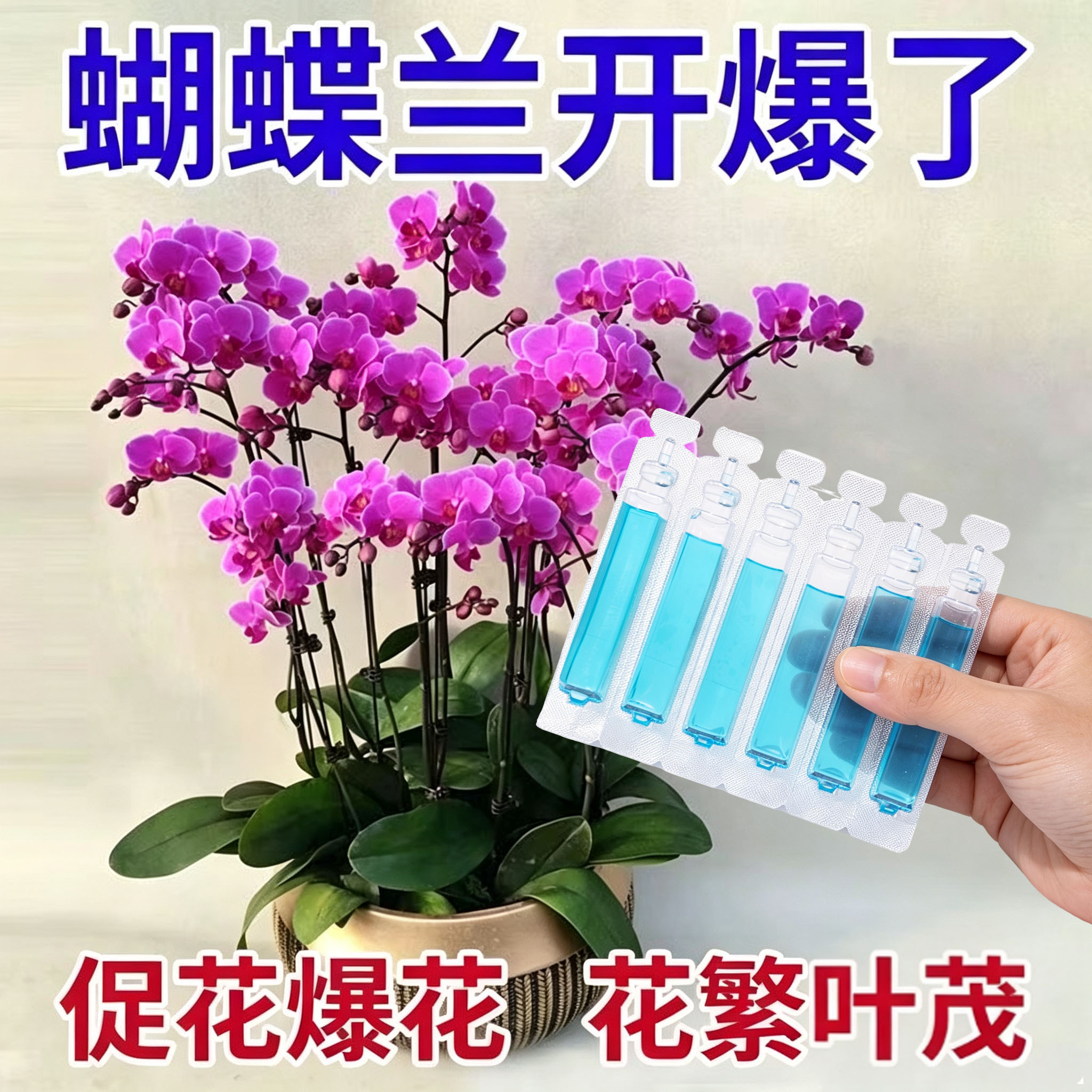 蝴蝶兰专用营养液兰花浓缩营养液