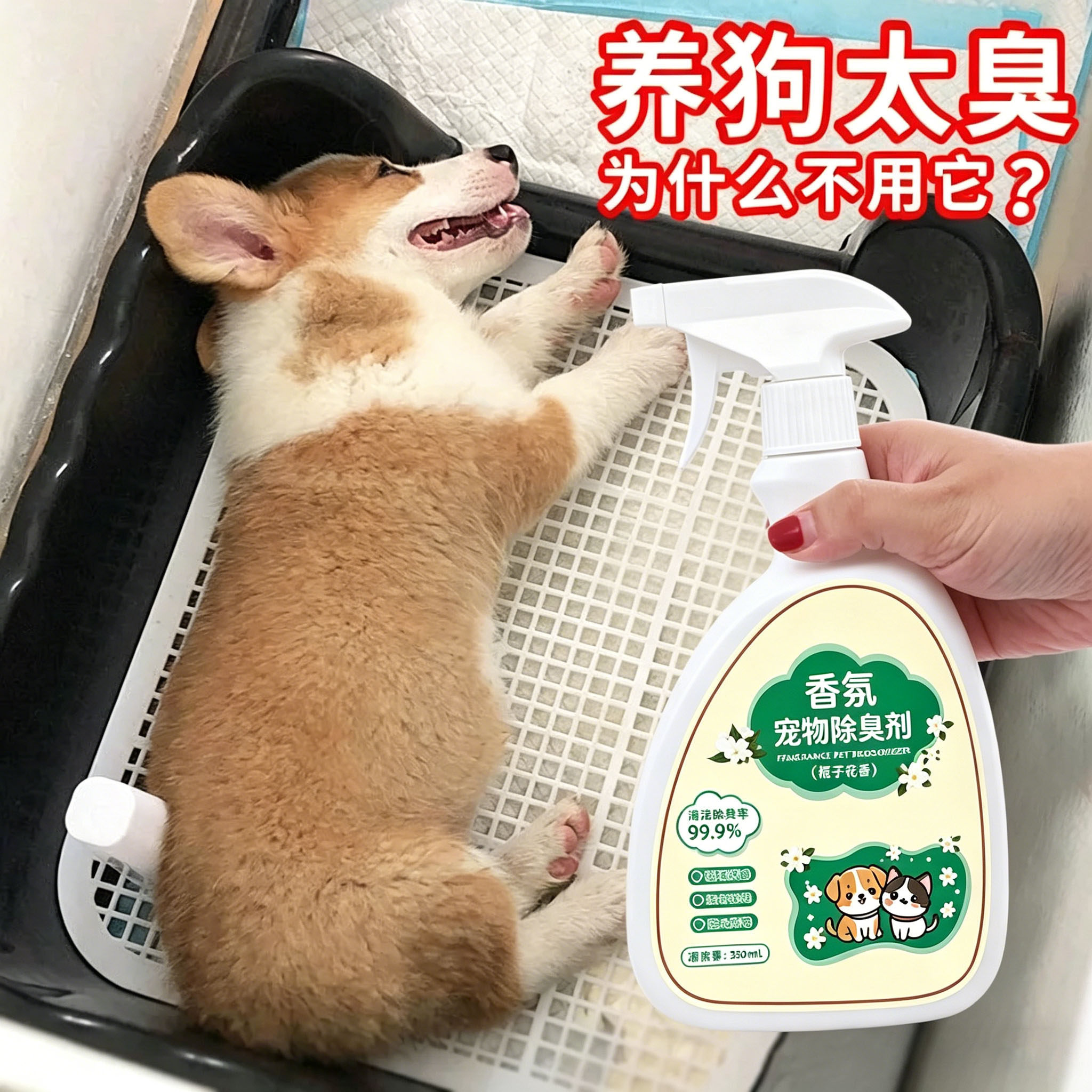 猫狗身体去味除臭除身上味道异味宠物除臭尿液多效香氛喷雾去味剂