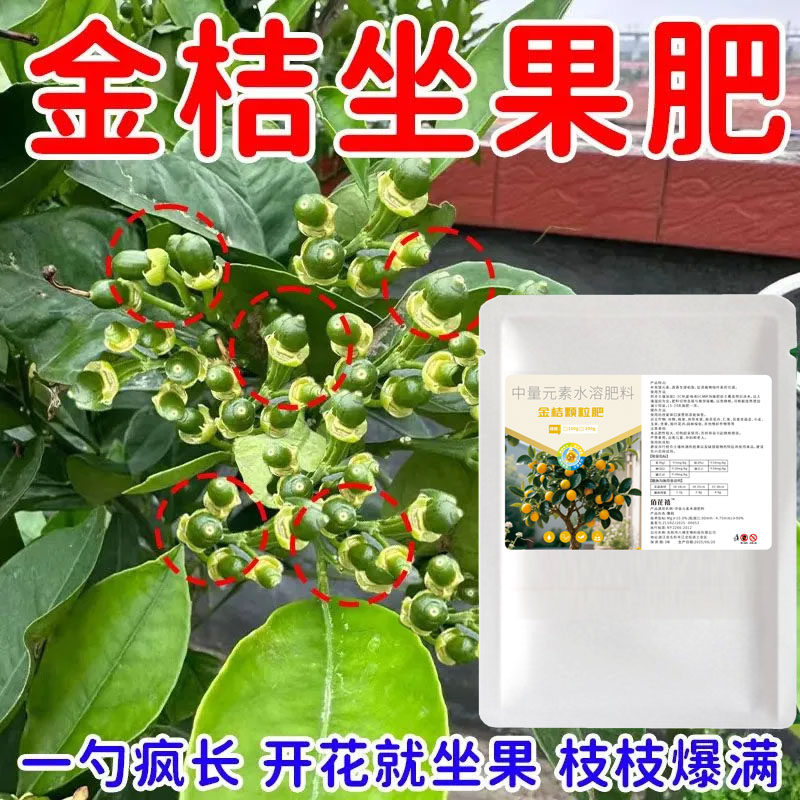金桔专用肥料金桔树专用