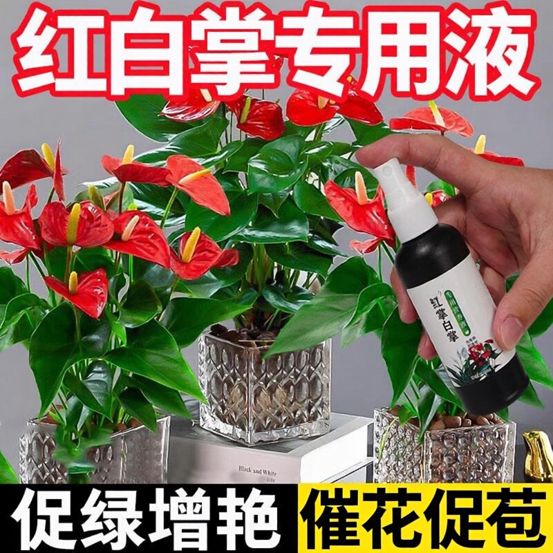 红掌专用免稀释营养液