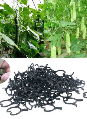 极速2022 New 100Pcs Planut Garden Clips Vegetable Plant  Vin
