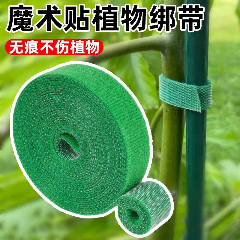 园艺植物造型双面魔术贴绑带