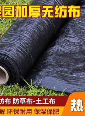 防草布 果园菜地黑色PE除草布农用大棚防草透水保湿抑草布