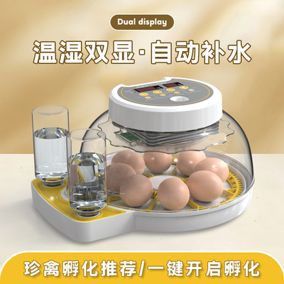 孵蛋器小型家用鹦鹉珍禽孵化器全自动智能孵化机鸟蛋专用孵化箱