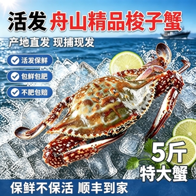 舟山梭子蟹活发顺丰到家包鲜包肥