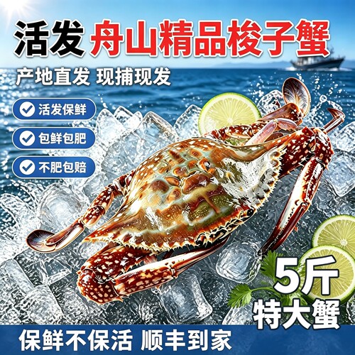 舟山梭子蟹活发顺丰到家包鲜包肥