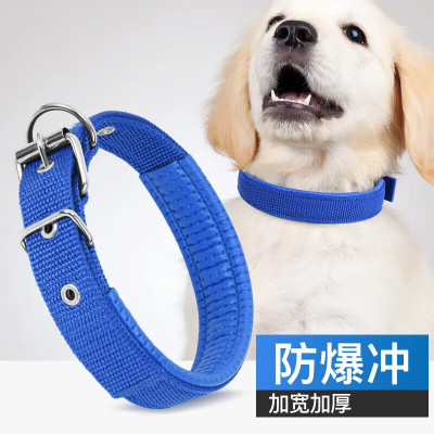狗狗项圈脖圈牵引绳小型犬中型