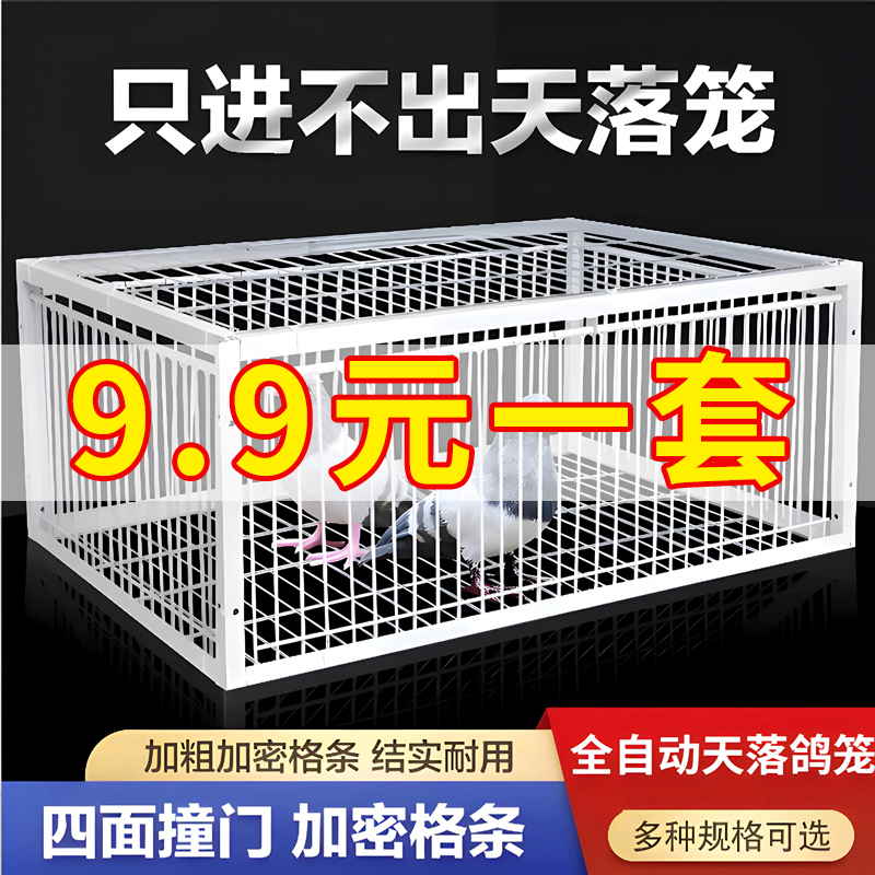全自动室外天落笼撞门笼收集抓收鸽子加密款户外收扑只进不出