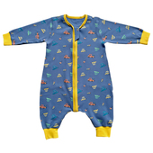 宝宝睡袋纯棉护肚婴儿防踢被加厚春秋冬款 幼儿童恒温连身睡衣长袖