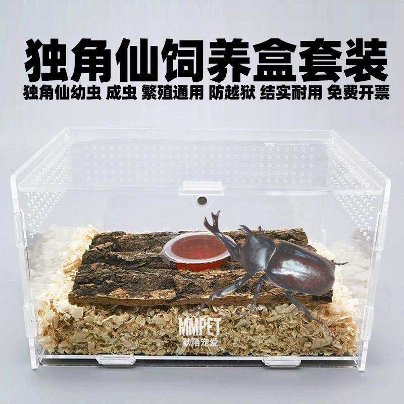 专业独角仙甲虫幼虫成虫饲养盒套装腐殖土发酵木屑果冻食物饲养箱