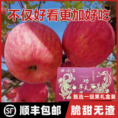 灵宝精选苹果，好吃好看才能送的出手