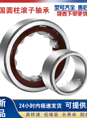 德国GAL轴承 NU NJ1006 1007 1008 1009 1010 E.M1/E.TVP2/C3