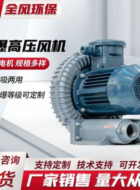 化工气体输送铝合金无火花防爆变频风机DIIBT4气体电机高压风机