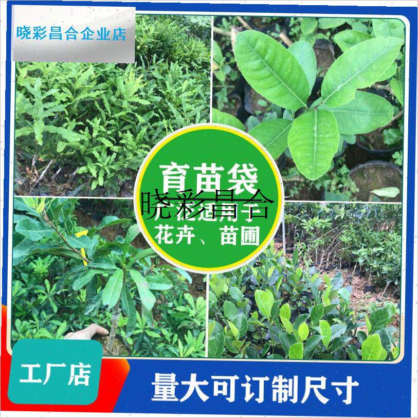 槟榔专用育苗袋桉树营养袋瓜果树苗种植袋橙子柑U橘一次性移栽袋l