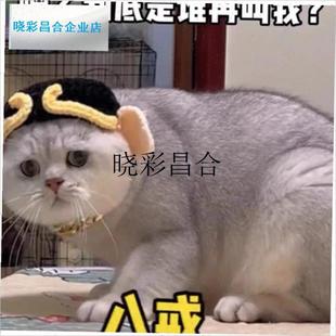 搞怪猫咪b猪八戒头套可爱搞笑宠物银浅层英短毛线帽子变装帽头饰l